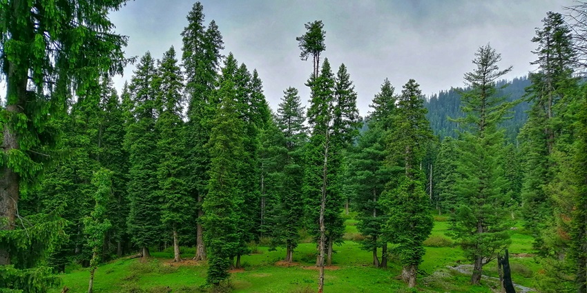 Kazinag National Park is great for eco-tours and guided tours with friends and family.