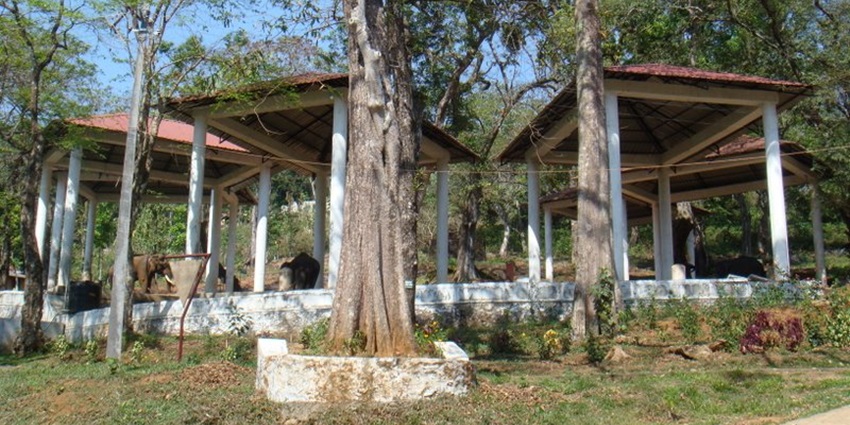 Pathanamthitta Elephant Training Centre is one of the best places to visit in Chengannur.
