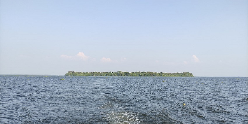 An Island in the middle of a waterbody