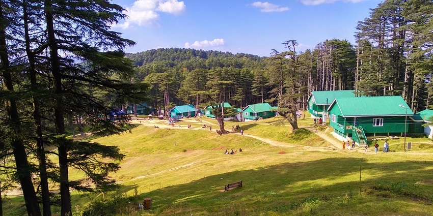 View of Patnitop Park with lush green grass and a backdrop of cloudy skies and dense forest