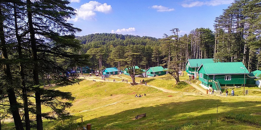Lush green grass Patnitop Park, one of the best places to visit in Patnitop.
