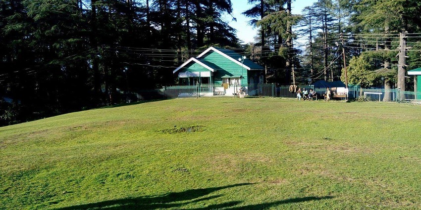 An apple garden in Patnitop - one of the most scenic places to visit near Srinagar, India.