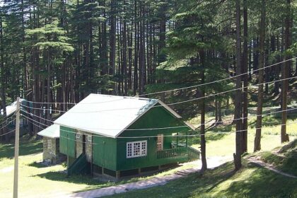 The lush greenery in Patnitop one of the best places to visit near Vaishno Devi, India.