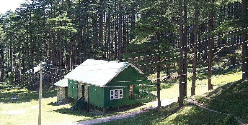 The lush greenery in Patnitop one of the best places to visit near Vaishno Devi, India.