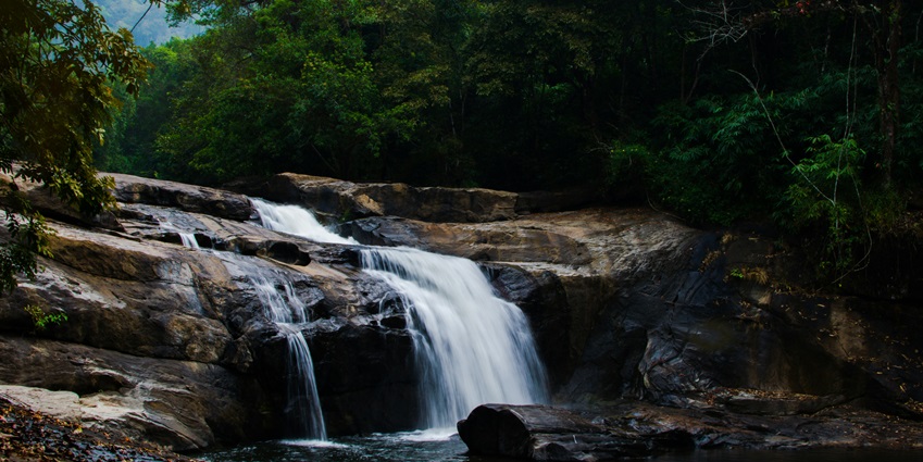 Pattathipara Waterfall is a serene waterfall located near Marottichal Waterfalls.