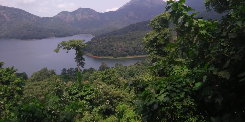 Pattathipara Waterfalls is one of the must-visit attractions in Thrissur for travellers.