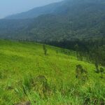 Beautiful landscape showing mountains in Kerala on a sunny day