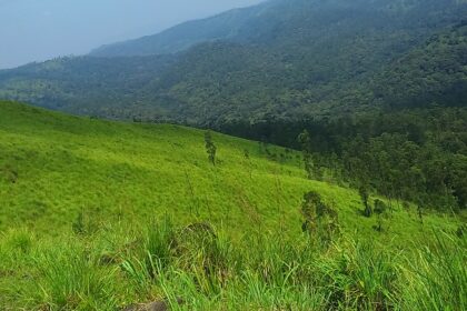 Beautiful landscape showing mountains in Kerala on a sunny day