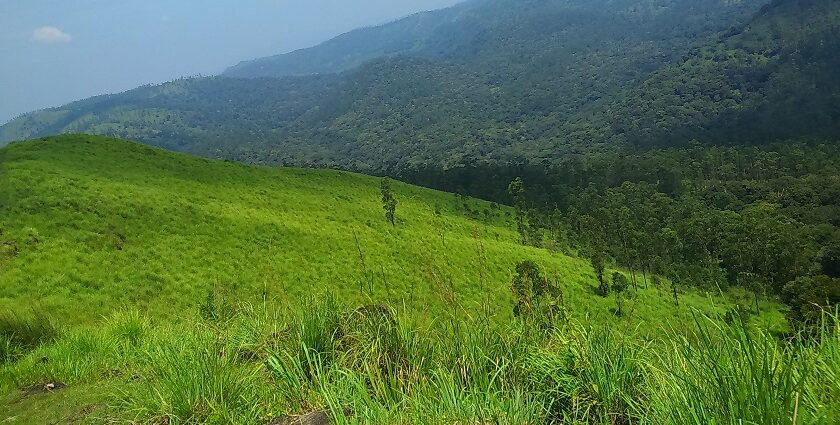 Beautiful landscape showing mountains in Kerala on a sunny day