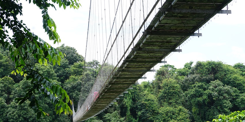 A picture of a hanging bridge