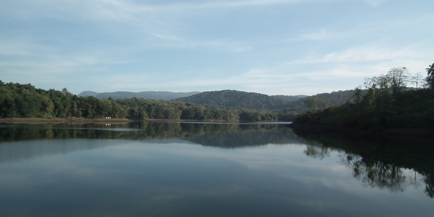 Being one of the best places to visit near Guruvayur, this sanctuary serves views of serenity