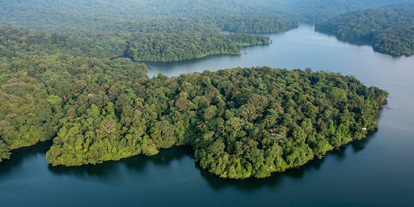 Explore the majestic Peechi Wildlife Sanctuary, one of the places to visit around Cheppara Caves.