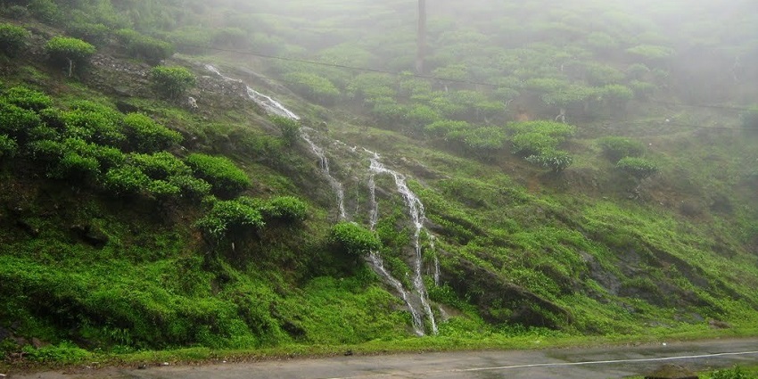 A breathtaking landscape of Peermade, one of the most serene hill stations near Guruvayur.