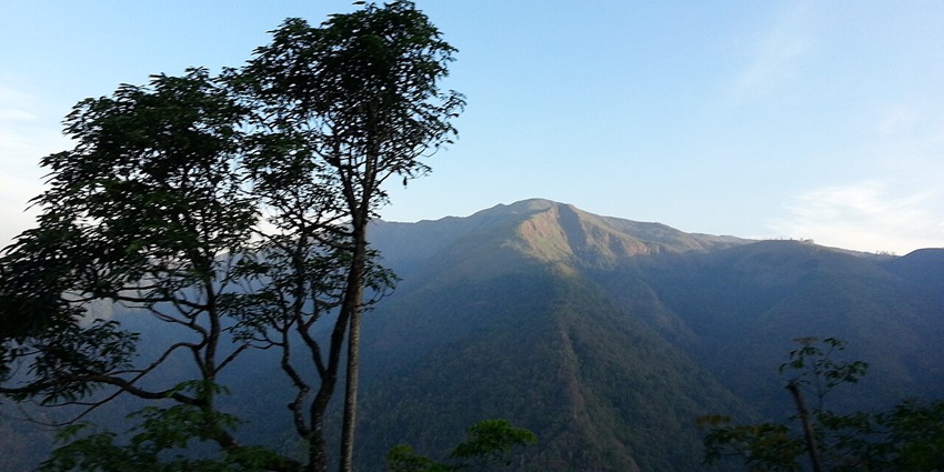 Scenic view of Peermedu hills with lush greenery, misty valleys, and serene landscapes.