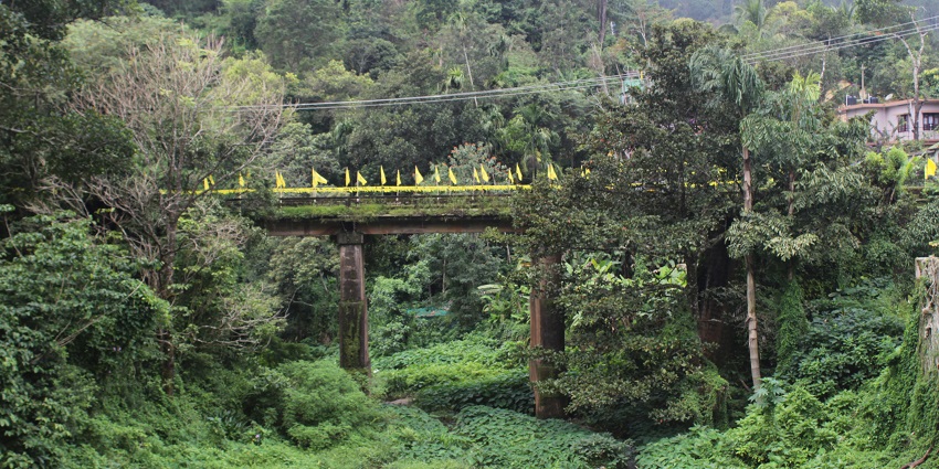 The view of bridge surrounded by lush greenery and hills - best hill stations near Kollam