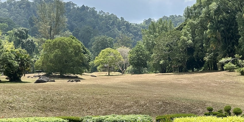 Penang Botanic Gardens is one of the best places to visit in Penang for leisure.