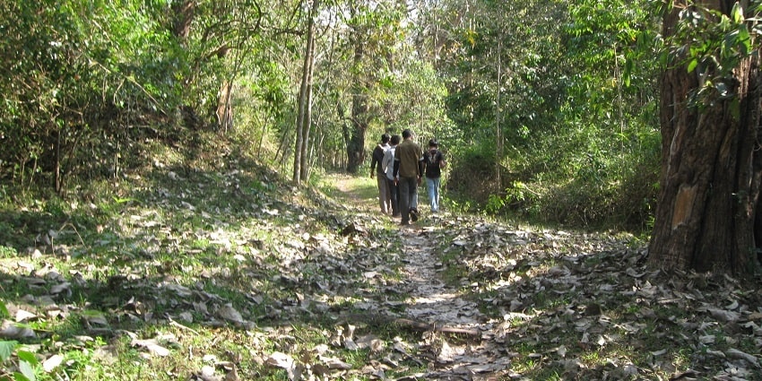 Walk through lush landscapes for an immersive experience in Peppara Wildlife Sanctuary.