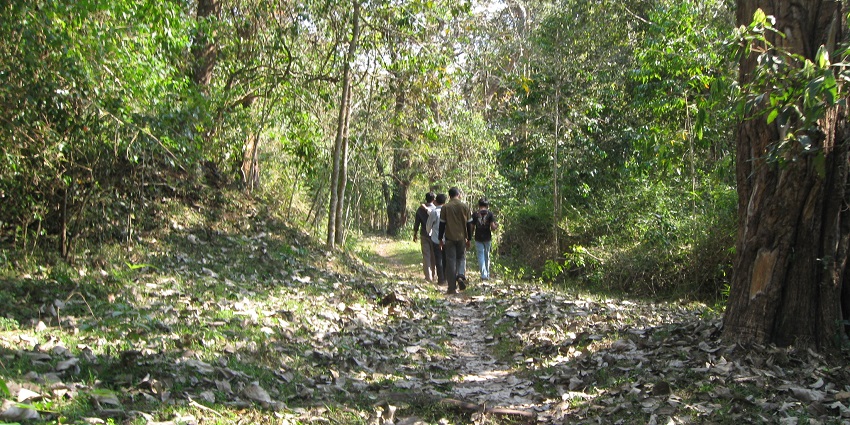 Feel the thrill while navigating through the lush treks through the attraction, Kerala.