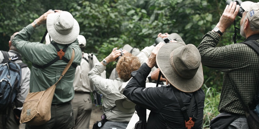 People looking at birds with binoculars