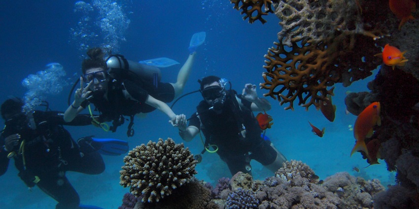 With the designed training try scuba diving on Elephant beach and explore the world underwater.