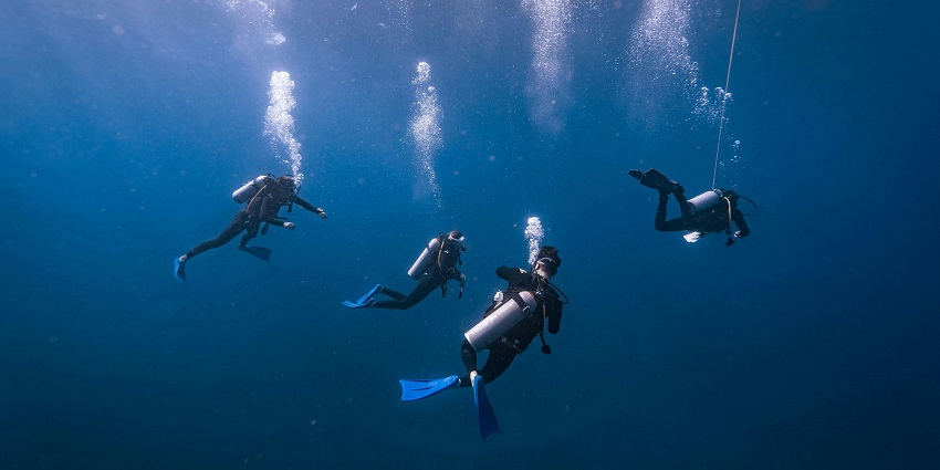 From colourful coral reefs to marine species, you can discover a unique world underwater