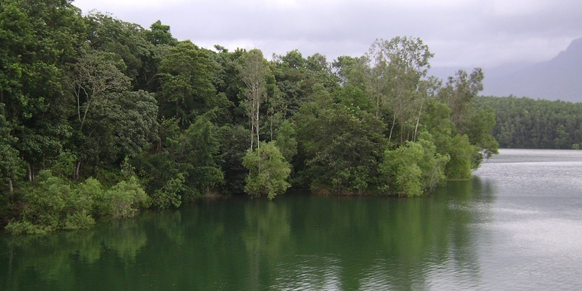 See the diverse wildlife at the Peppara Sanctuary, one of the places to visit in Ponmudi.