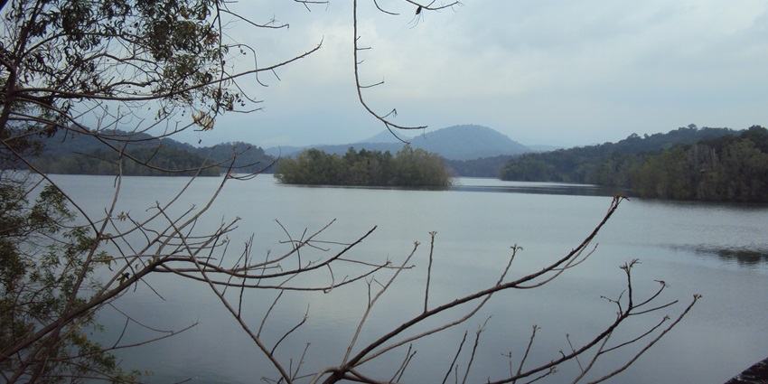 Peppara Wildlife Sanctuary- one of the best hill stations in Trivandrum for wildlife lovers