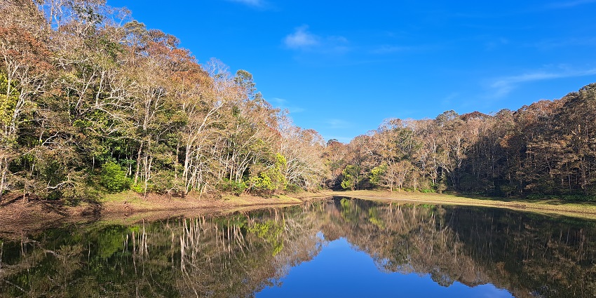 Explore this artificial reservoir near the attraction for a unique experience.