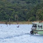 Places to visit in Thekkady cannot be complete without the spectacular Periyar Lake.