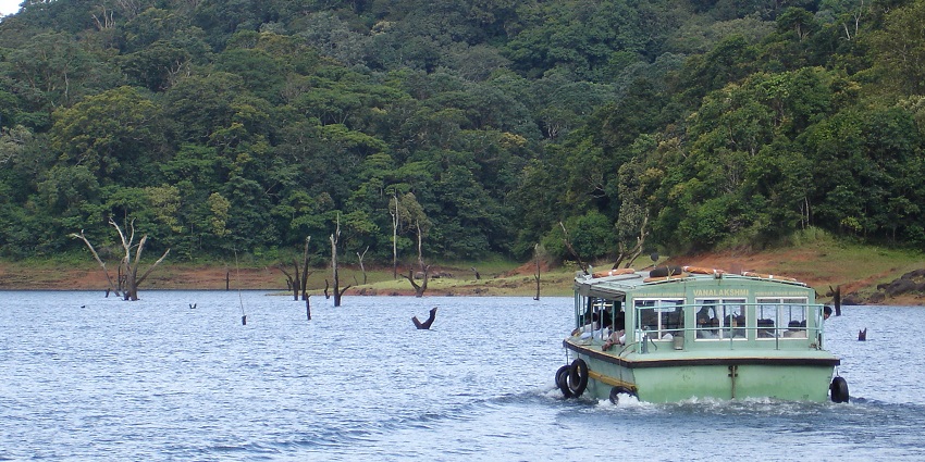 Go on a boat cruise on Periyar Lake in Thekkady and have an adventure of a lifetime