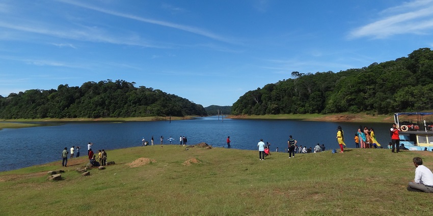 Tourists strolling verdant fields of Periyar Lake overlooking the forest covering the hills