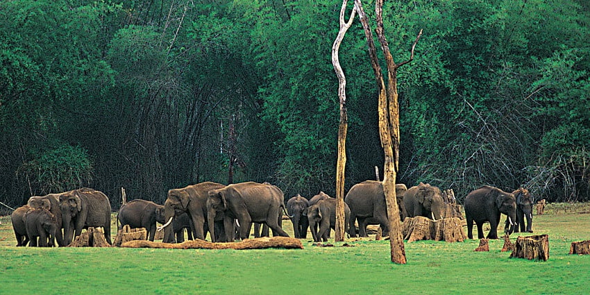 Thekkady is one of the best places to visit in February in India for an exciting vacation.