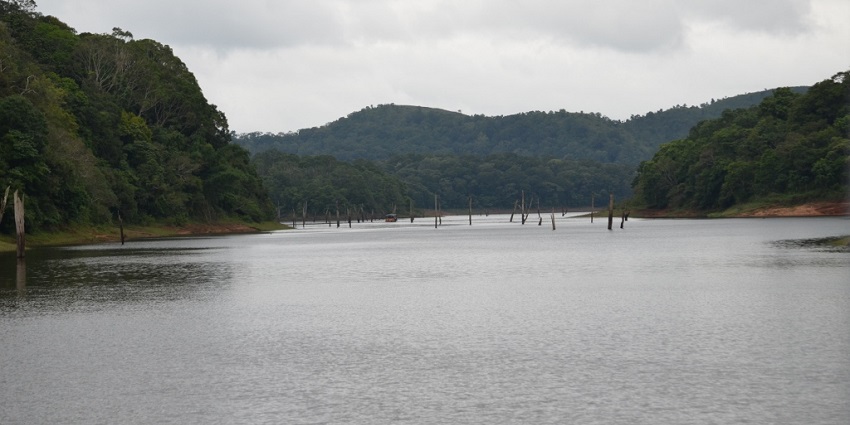 Serene view of Periyar Lake looking over the dense forest covering the hills far beyond