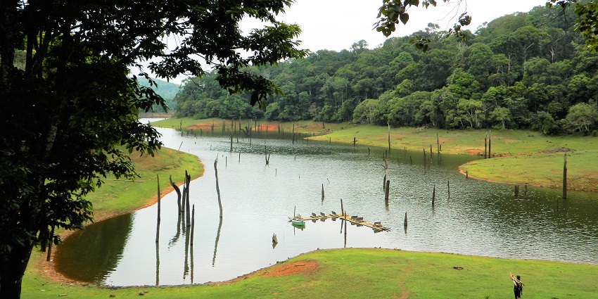 Periyar Wildlife Sanctuary is one of the best places to visit in Kumily, Idukki district.
