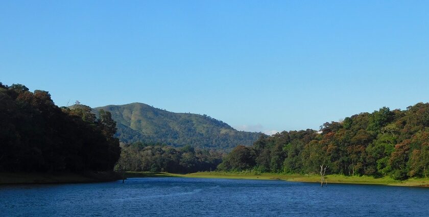 The serene Periyar Lake- one of the most peaceful places to visit in Thekkady with family