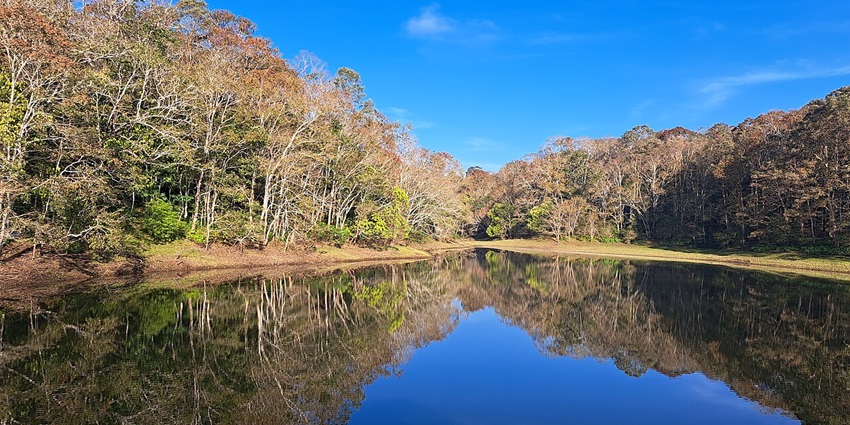 Periyar Lake renders exotic views of the surrounding landscapes during the boat rides