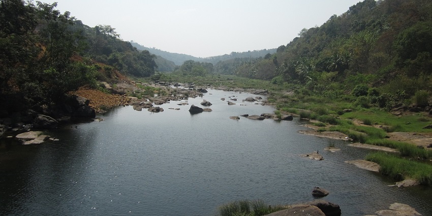 The Perunthenaruvi river with the backdrop of the forest is a scenic attraction to visit