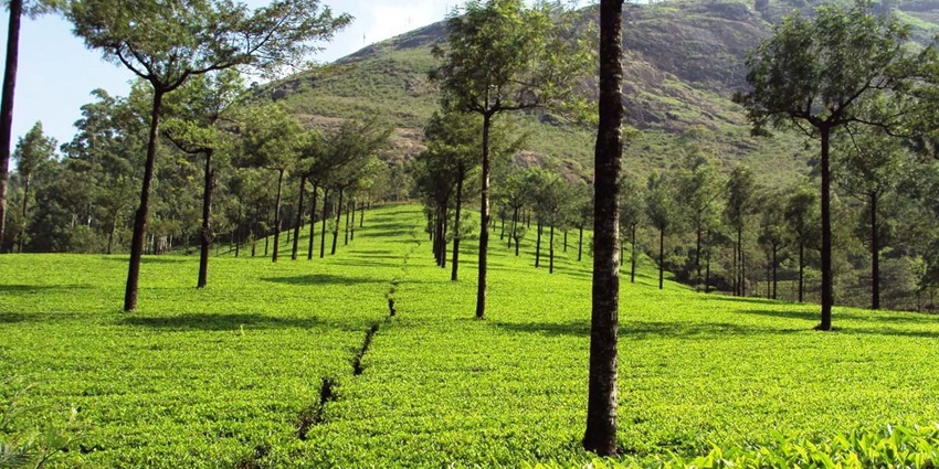 See breathtaking views at Photo Point - one of the places to visit in Munnar with family.