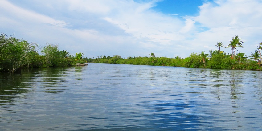 Capturing stunning landscapes is one of the best things to do in Munroe Island, Kerala.