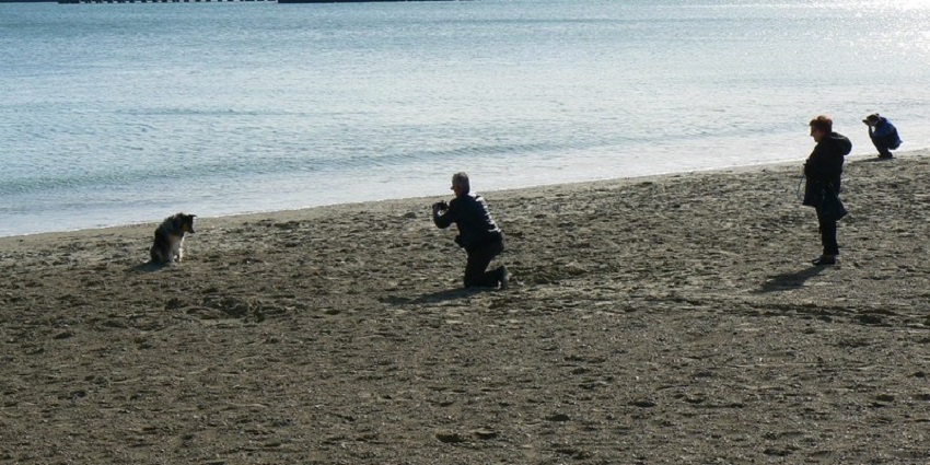 Photography of the spectacular views of the Payyoli Beach can be explored in the tranquil aura