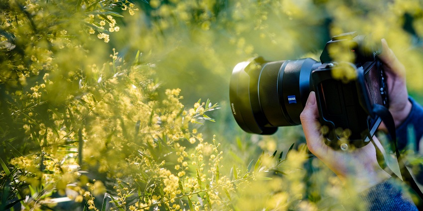 Capture the scenic beauty of Dhoni Waterfalls in your camera rolls to cherish forever.