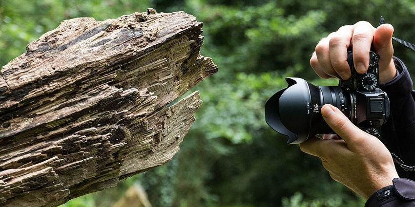 A beautiful shot of the bark of a tree taken somewhere in the enchanting forest