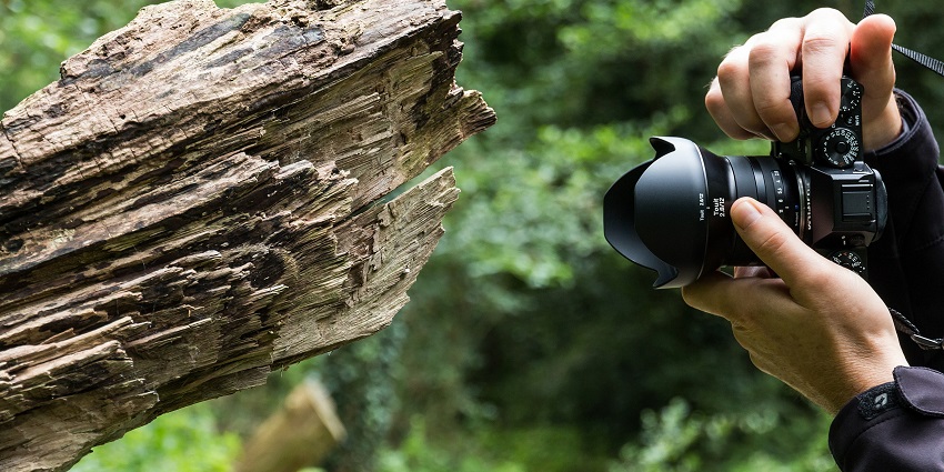 Capturing the beautiful wild flora and fauna of Idukki on your trip to Attukad Waterfalls
