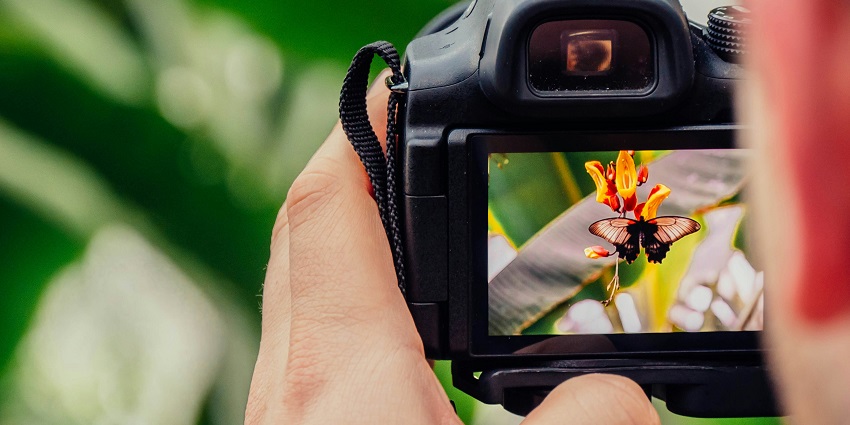A person clicking photos, one of the best activities to do in Begur Wildlife Sanctuary.