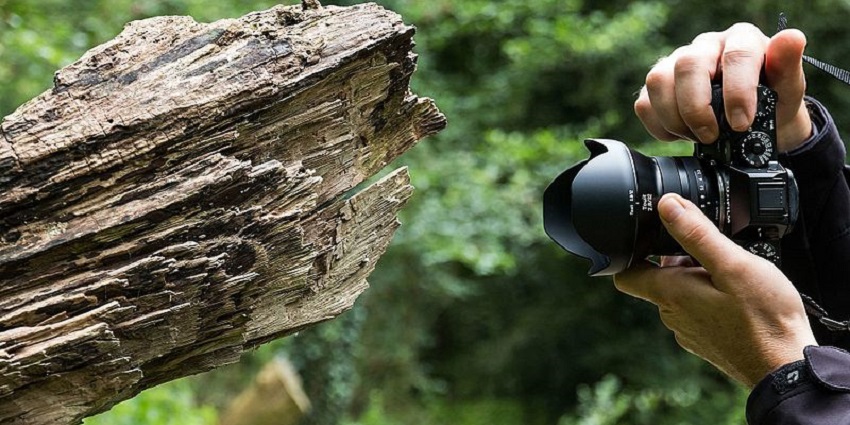 Clicking picture of wood