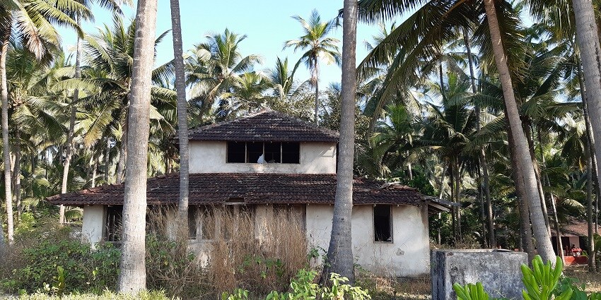 Capture stunning photos of the landscape and wildlife surrounding Ashtamudi Lake