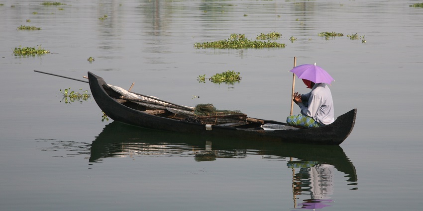 Capture lovely moments of wildlife on your trip to this nature park in Kaduthuruthy.
