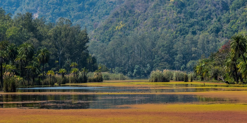 A scenic lake in Himachal Pradesh surrounded by lush green hills and forests