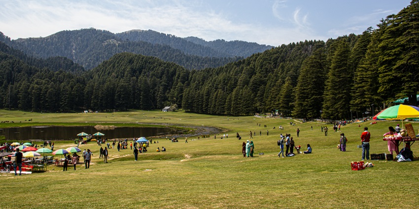 One of the best things to do in Khajjiar includes a picnic around the Panch Pandav Tree.