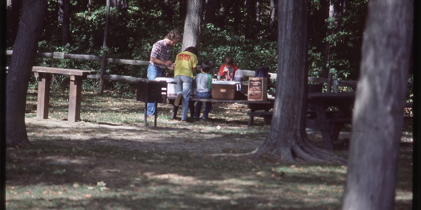 People enjoying a picnic